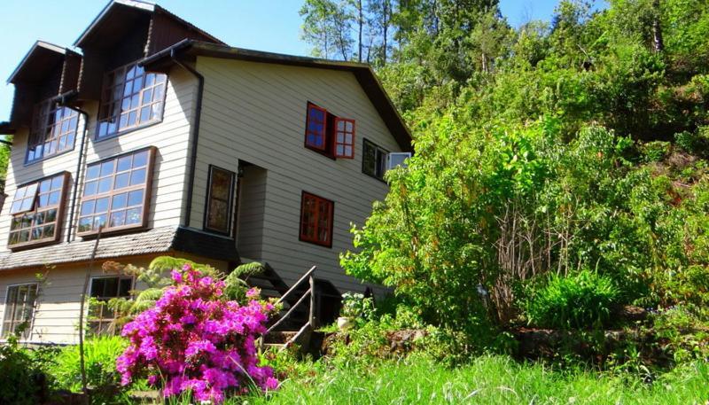 Hostal La Casa Del Carpintero Coñaripe Dış mekan fotoğraf