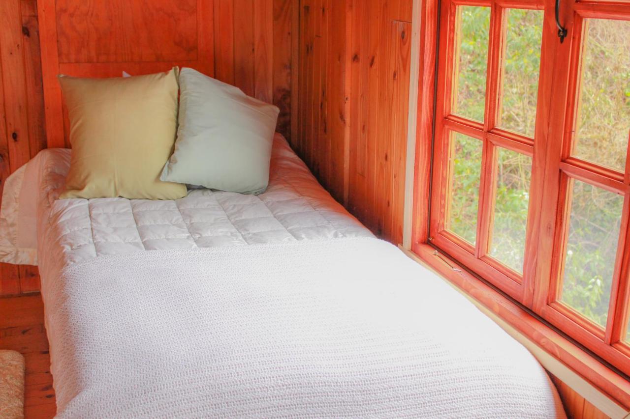 Hostal La Casa Del Carpintero Coñaripe Dış mekan fotoğraf